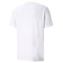 Camiseta Puma Performance Masculina 520314-02
