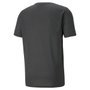 Camiseta Puma Performance Masculina 520316-07
