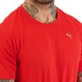 Camiseta Puma Performance SS Masculina 520489-11