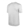 Camiseta Speedo M/C Interlock Masculina 071688N-001