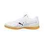 Chuteira Puma Futsal Truco III Masculina 106892-07