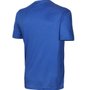 Camiseta Speedo Interlock Masculina 071688-294