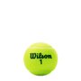 Kit Bolas Wilson Tennis Us Open Green Tourrname WRT137500