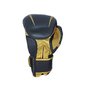 Kit Luva de Boxe e Protetor Bucal