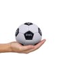 Mini Bola Sport Bel Oficial Botafogo Unissex BFR-MINI-2