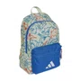 Mochila Juvenil Adidas Adiraptor JV5163