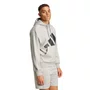 Moletom Adidas Big Logo C/ Capuz Essentials Masculino IN6160