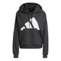 Moletom Adidas Big Logo com Capuz Feminino JN1845