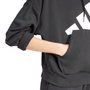 Moletom Adidas Big Logo com Capuz Feminino JN1845