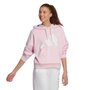 Moletom Adidas Big Logo Com Capuz Feminino JN1847