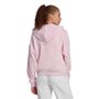 Moletom Adidas Big Logo Com Capuz Feminino JN1847