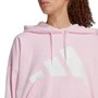 Moletom Adidas Big Logo Com Capuz Feminino JN1847