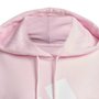Moletom Adidas Big Logo Com Capuz Feminino JN1847