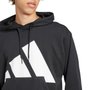 Moletom Adidas Big Logo Com Capuz Masculino IN6164