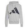 Moletom Adidas Big Logo com Capuz Masculino JE8889