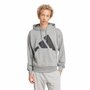 Moletom Adidas Big Logo com Capuz Masculino JE8889