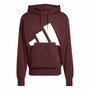 Moletom Adidas Big Logo Com Capuz Masculino JE8897