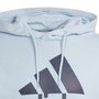 Moletom Adidas Essentials French Terry Big Logo Masc IS1352