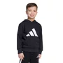Moletom Infantil Adidas Big Logo JM0885