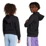 Moletom Juvenil Adidas Big Logo com Capuz JC9667
