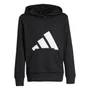 Moletom Juvenil Adidas Big Logo com Capuz JC9667