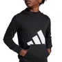 Moletom Juvenil Adidas Big Logo com Capuz JC9667