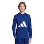 Moletom Juvenil Adidas C/Capuz Essentials JV9902
