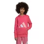 Moletom Juvenil Adidas C/Capuz Essentials JV9903