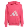 Moletom Juvenil Adidas C/Capuz Essentials JV9903