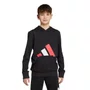 Moletom Juvenil Adidas com Capuz Essentials JY0301