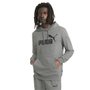 Moletom Puma Capuz Essentials Big Logo Masculino 586688-03