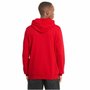 Moletom Puma Com Capuz Ess Big Logo Masculino 586688-11