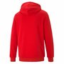 Moletom Puma Com Capuz Ess Big Logo Masculino 586688-11