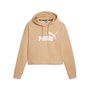 Moletom Puma Cropped Ess Logo Hoodie FL Feminino 586869-84