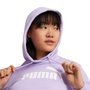 Moletom Puma Ess Logo Feminino 586789-93