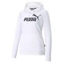 Moletom Puma Essentials Logo Terry Feminino 586791-02