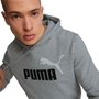 Moletom Puma Essentials Plus Big Logo Masculino 586764-03