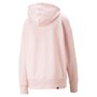 Moletom Puma Her Com Capuz Feminina 673110-66
