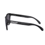 Óculos Oakley Solar Frogskins Range Xl Unissex OO9503-06