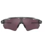 Óculos Oakley Solar Radar Ev Path Unissex OO9208-82
