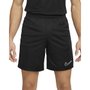 Shorts Academia Nike Dri-Fit Masculino DR1360-010