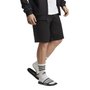 Shorts Adidas Big Logo French Terry Masculino IC9401