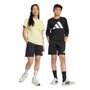 Shorts Juvenil Adidas Essentials Big Logo JE1391