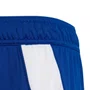 Shorts Juvenil Adidas Tiro 24 IR9366