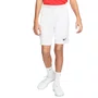Shorts Juvenil Nike DF Park III BV6865-100