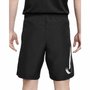 Shorts Nike DF Academy Masculino FB6371-010