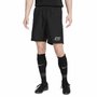 Shorts Nike DF Academy Masculino FB6371-010