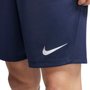 Shorts Nike DF Park III Masculino BV6855-410