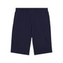 Shorts Puma Essentials NO.1 Logo 10 Masculino 682600-16