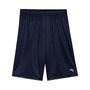 Shorts Puma Performance Knit 10" Masculino 524761-02